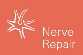 CM - Nerve Icon