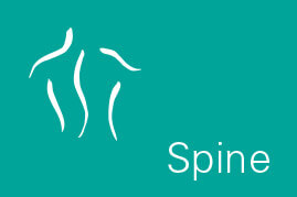 CM - Spine Icon